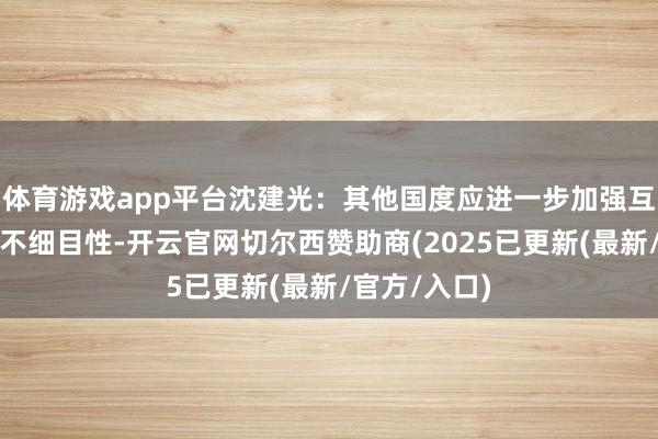 体育游戏app平台沈建光：其他国度应进一步加强互助协同应答不细目性-开云官网切尔西赞助商(2025已更新(最新/官方/入口)