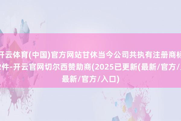 开云体育(中国)官方网站甘休当今公司共执有注册商标1062件-开云官网切尔西赞助商(2025已更新(最新/官方/入口)