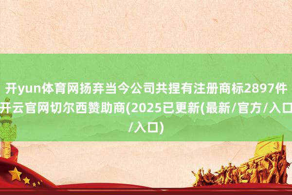 开yun体育网扬弃当今公司共捏有注册商标2897件-开云官网切尔西赞助商(2025已更新(最新/官方/入口)