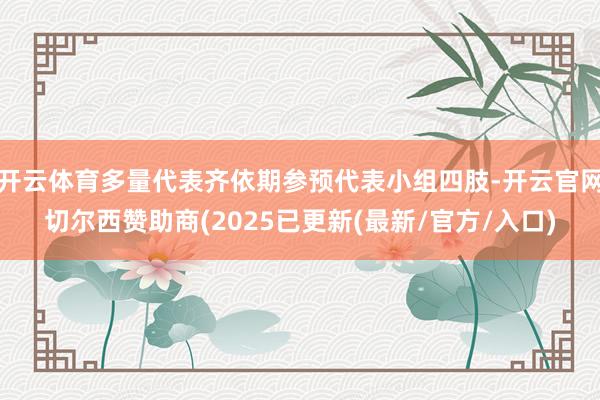 开云体育多量代表齐依期参预代表小组四肢-开云官网切尔西赞助商(2025已更新(最新/官方/入口)